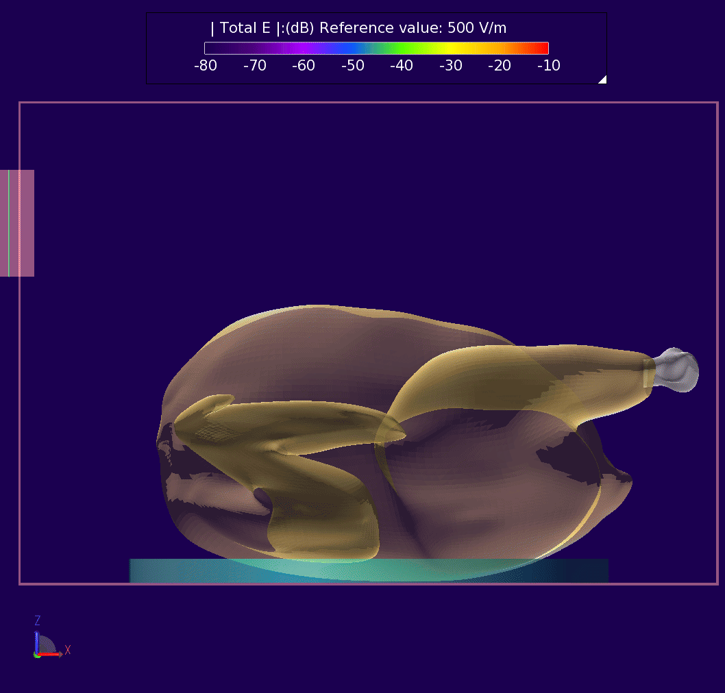 Simulation turkey